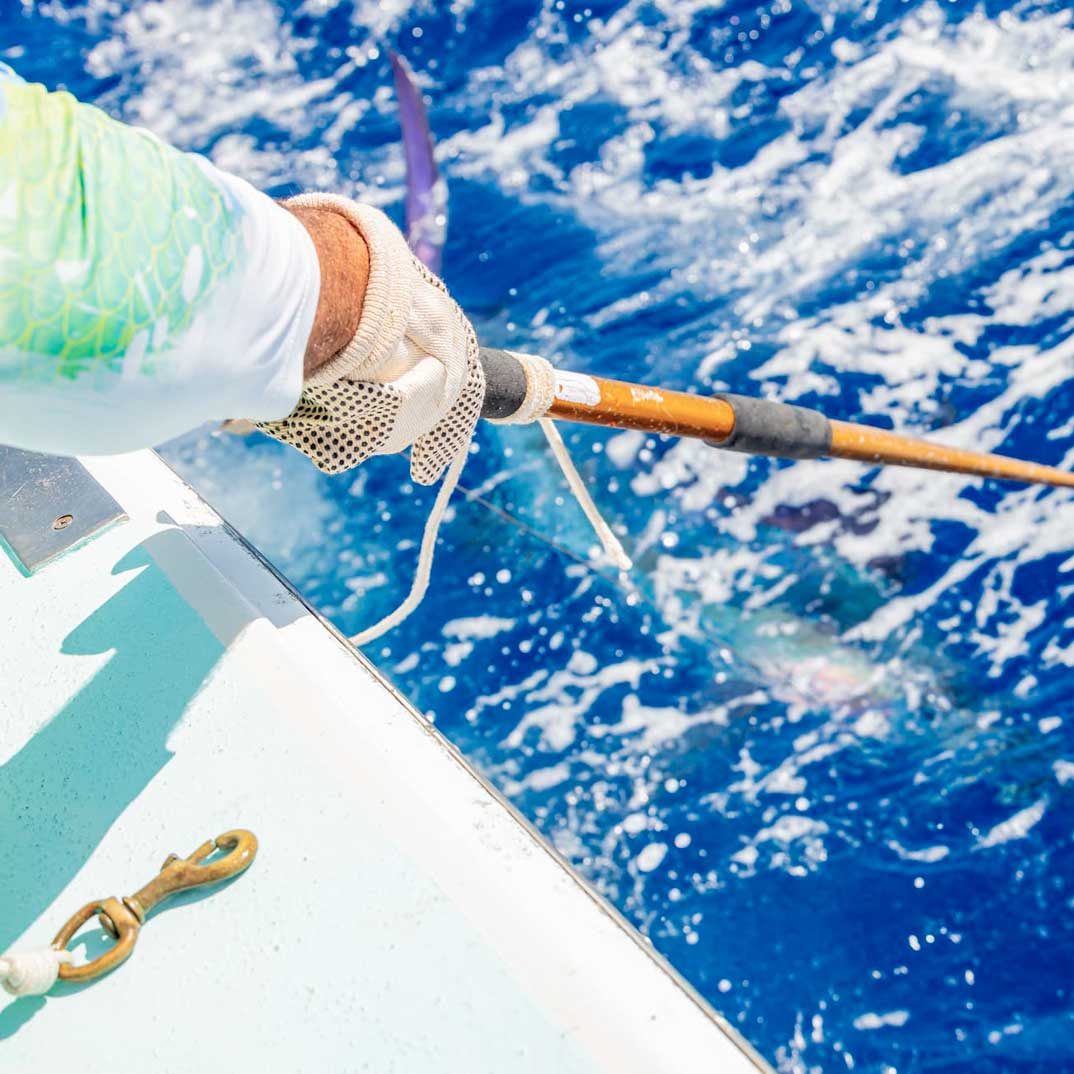 Punta-Cana’s-Ultimate-Deep-Sea-Fishing-Experience-Private-&-Shared-Charters-02