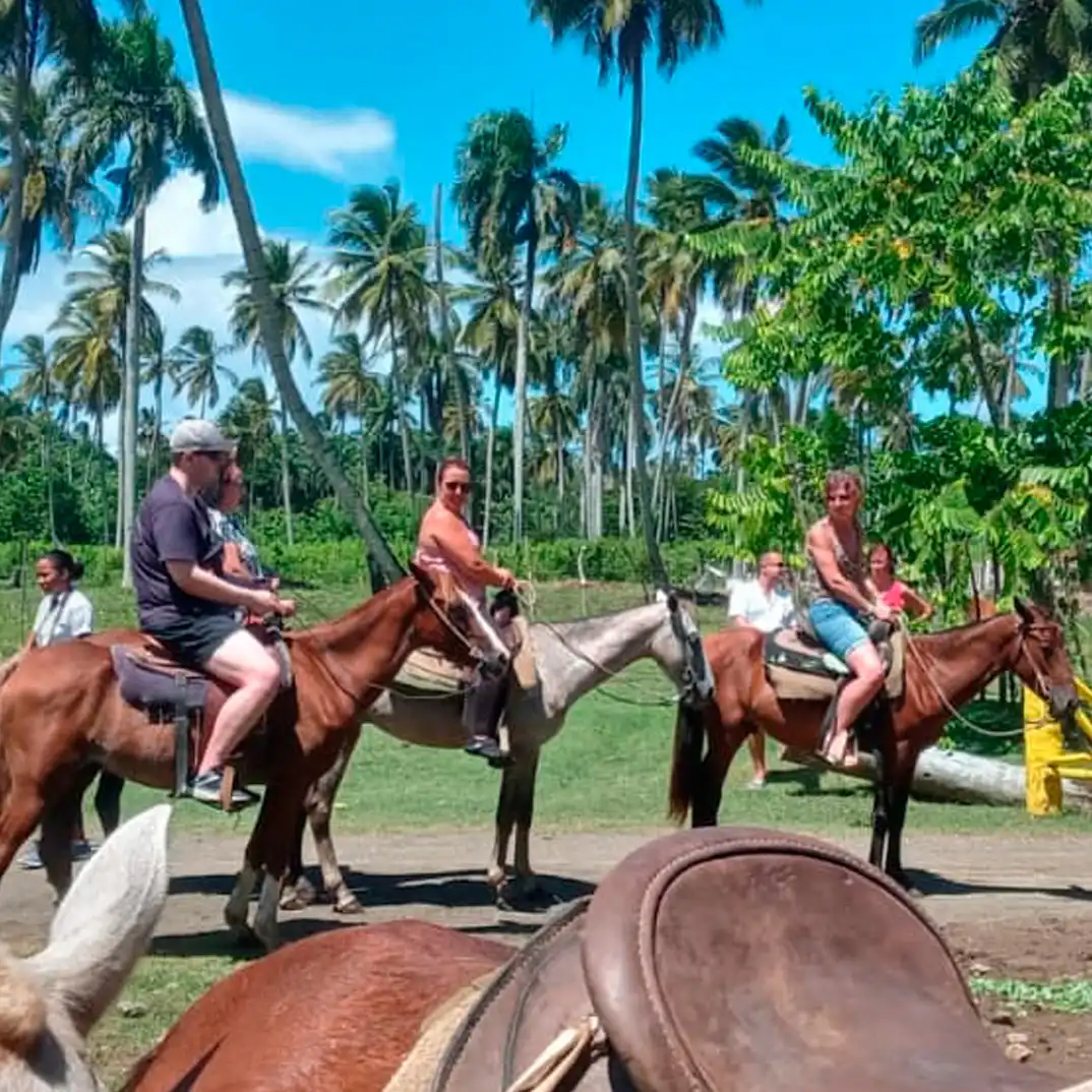 03-montaña-redonda-horses